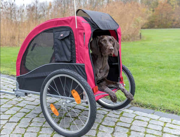 Hundefahrradanhänger
