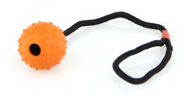 Dog Toy Game Ball Lungo con manopole, sulla corda