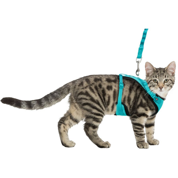 Mesh Y-Geschirr für Katzen mit elastischer Leine im 2er Set