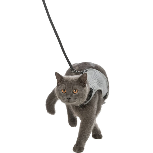 Softgeschirr für Katze, mit Leine 2er Set