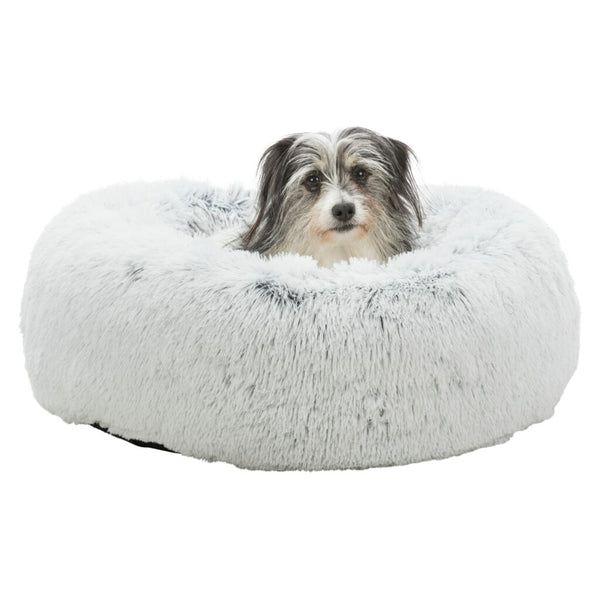 Bett Harvey